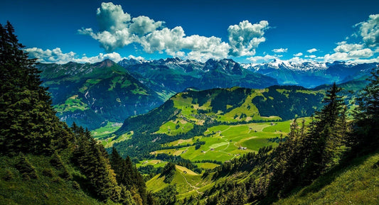 Have you tried? – The British Vacation Package