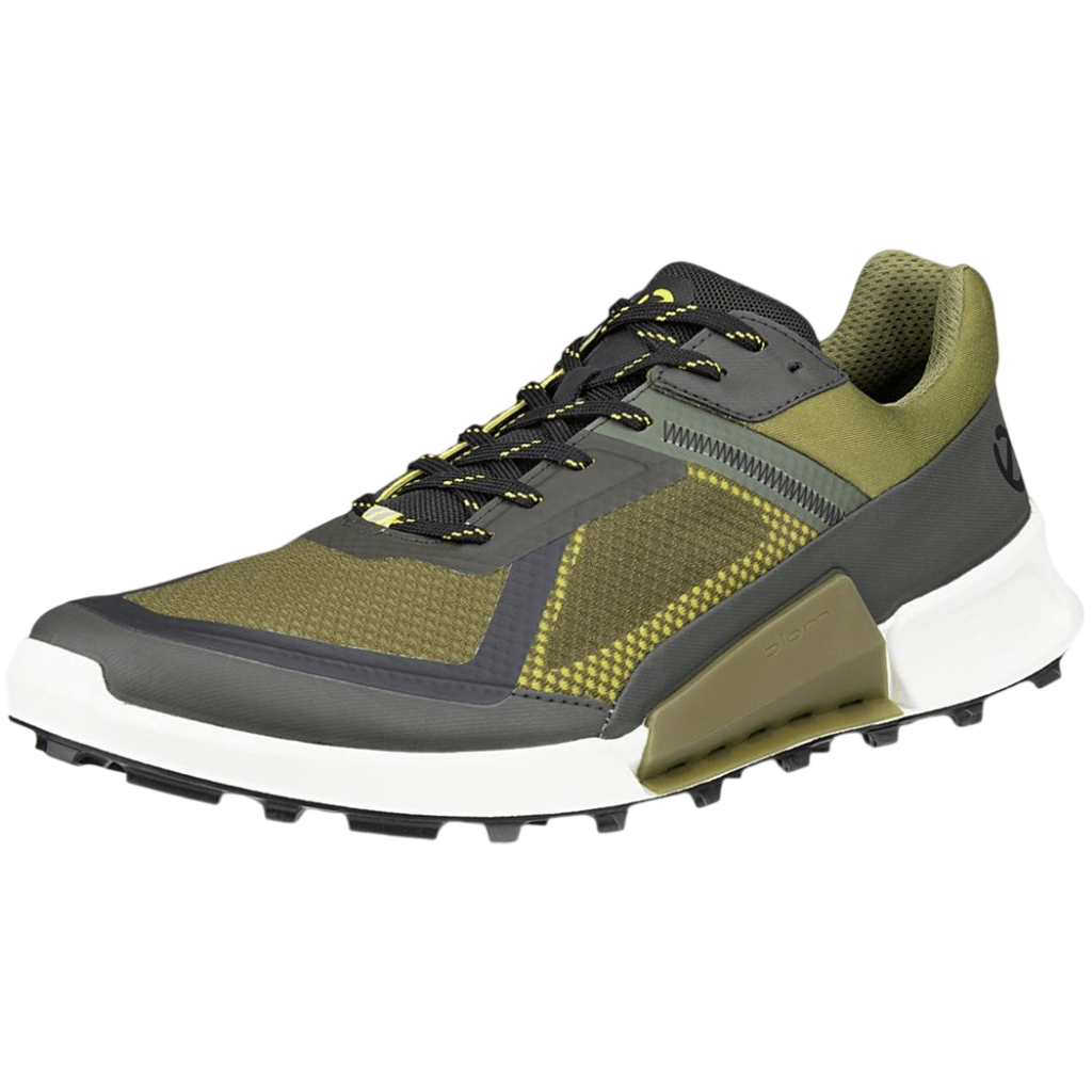 Ecco Biom 2.1 X Mountain MenAlive & Dirty