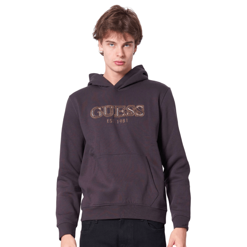 Guess Basic Hoodie Men Hoodies Guess