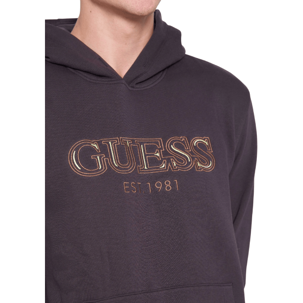 Guess Basic Hoodie Men Hoodies Guess