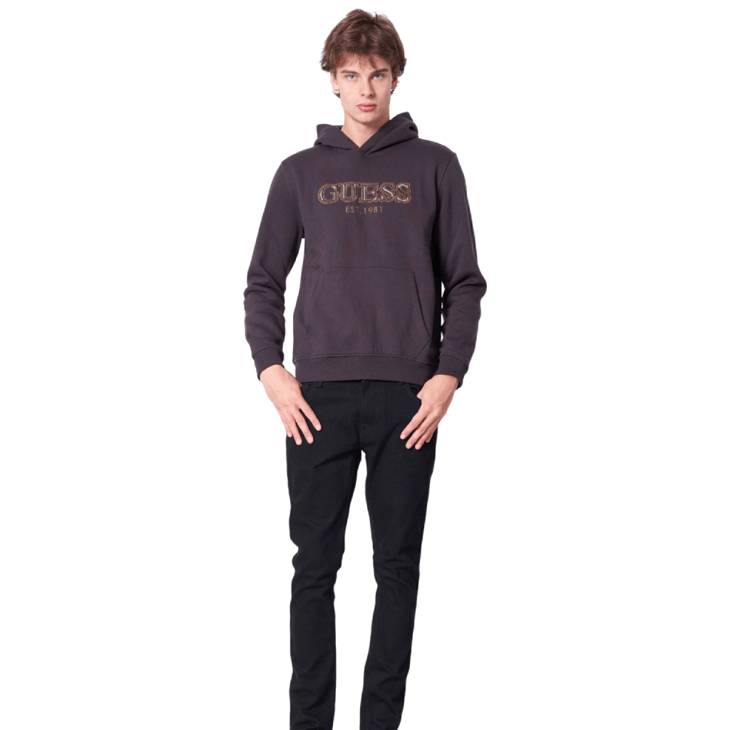 Guess Basic Hoodie Men Hoodies Guess