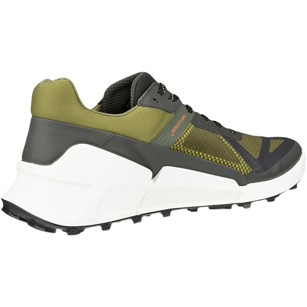 Ecco Biom 2.1 X Mountain MenAlive & Dirty