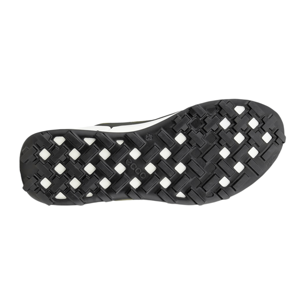 Ecco Biom 2.1 X Mountain MenAlive & Dirty