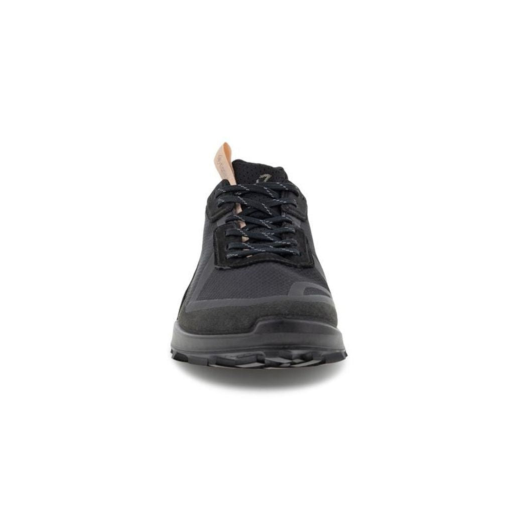 Ecco biom hike gtx online