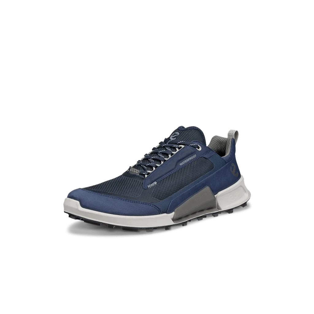 Ecco Biom 2.1 Mountain MenAlive & Dirty