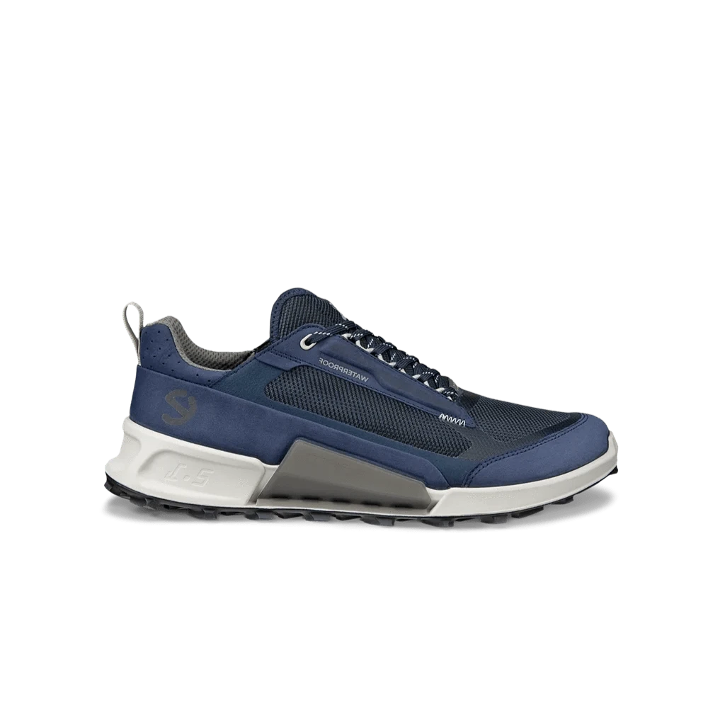 Ecco Biom 2.1 Mountain MenAlive & Dirty