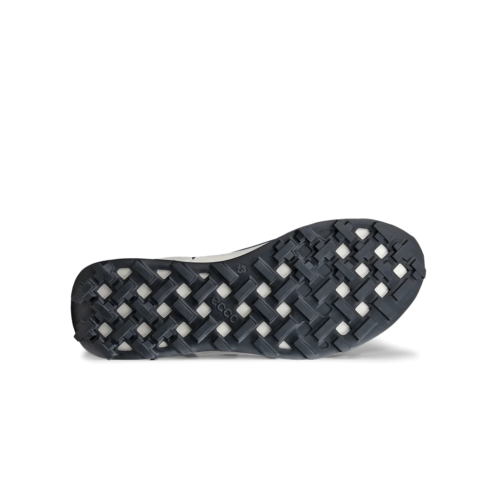Ecco Biom 2.1 Mountain MenAlive & Dirty