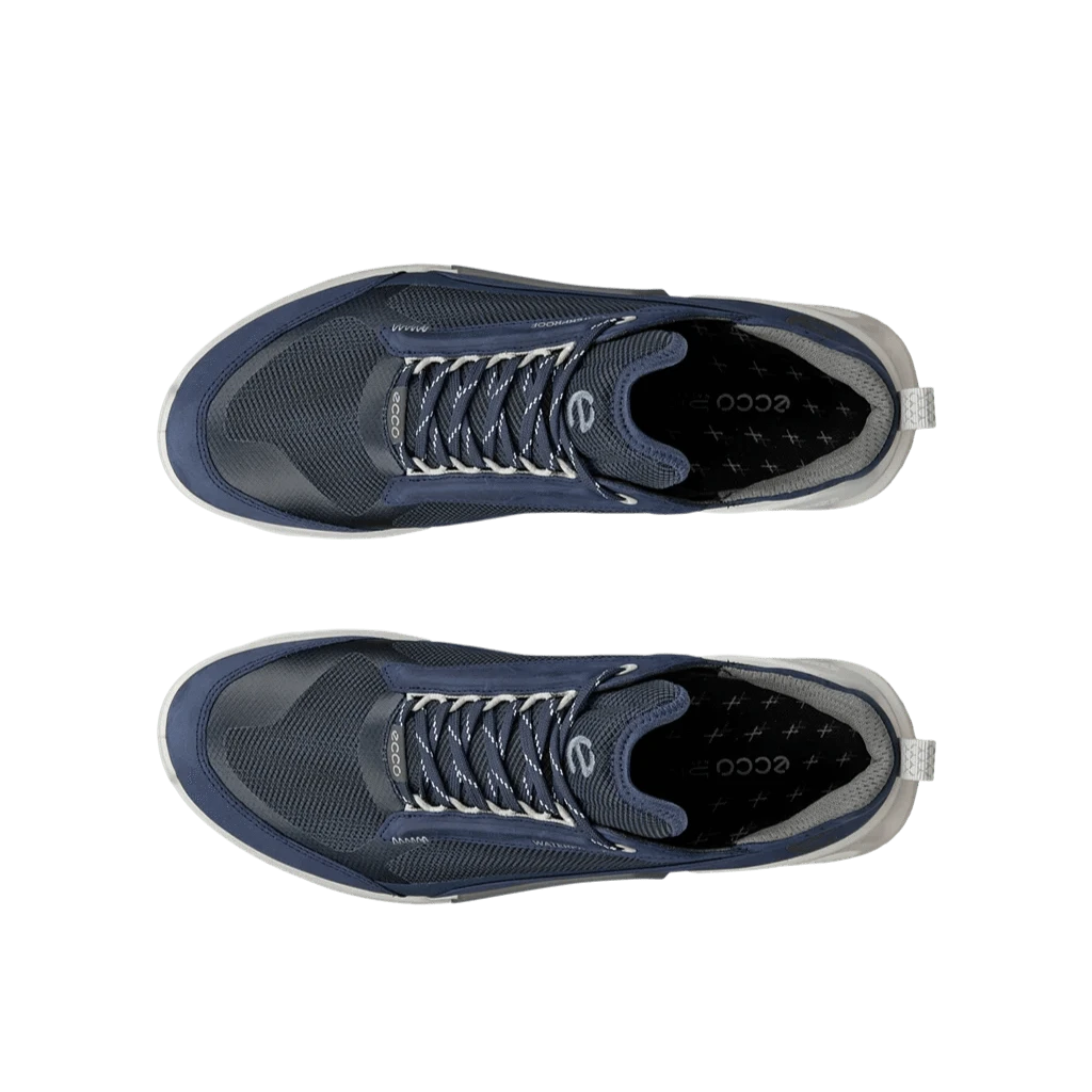 Ecco Biom 2.1 Mountain MenAlive & Dirty