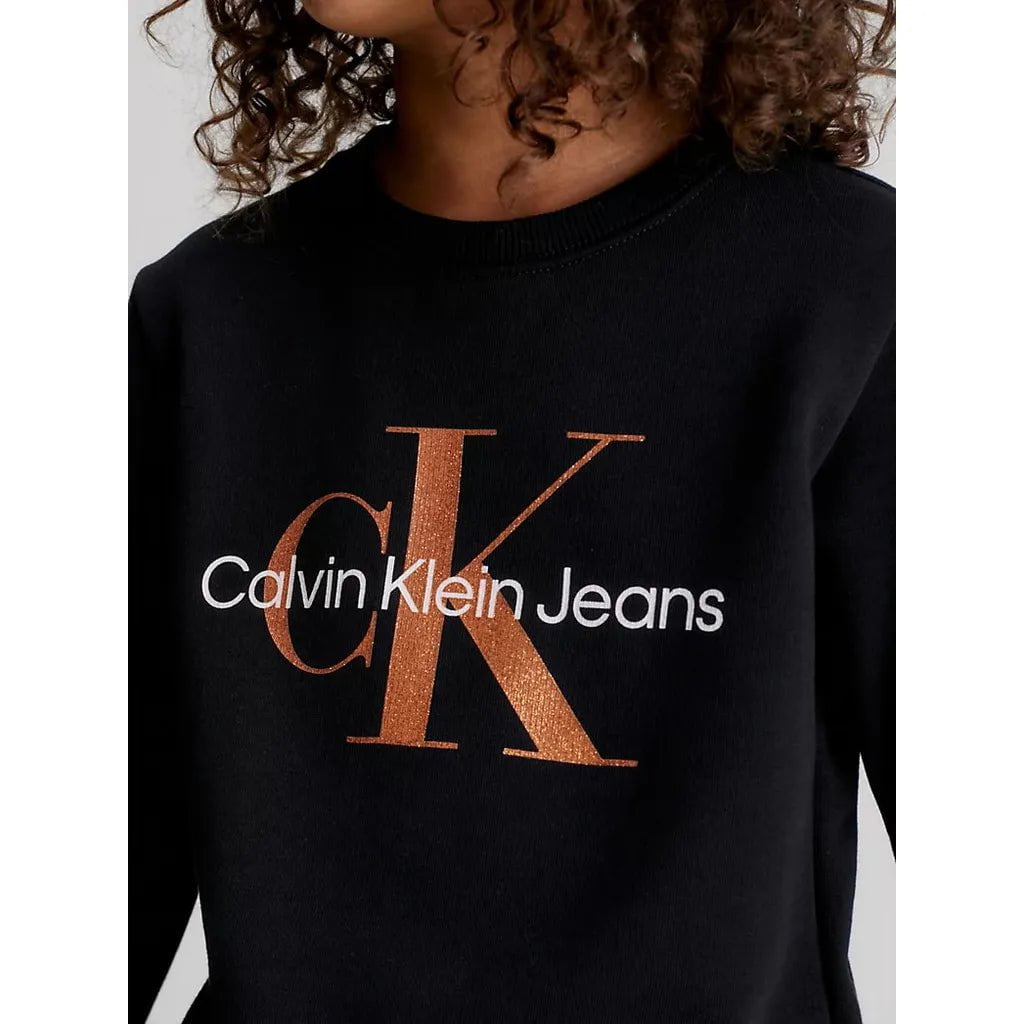 Calvin Klein Bronze Mono Sweatshirt JuniorAlive & Dirty 