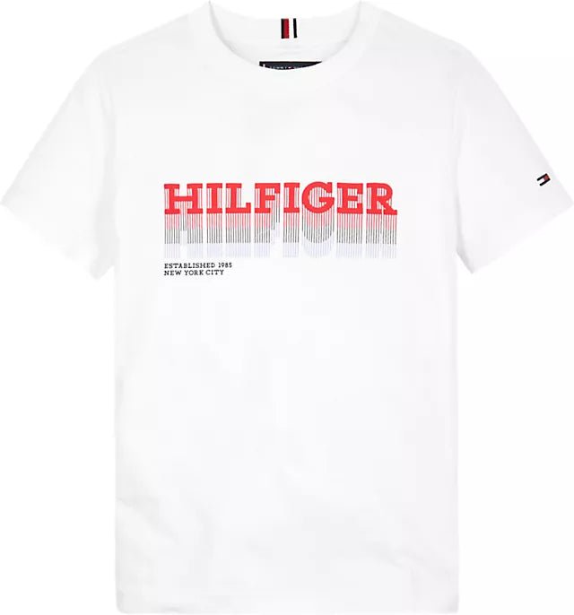 Tommy Hilfiger Fade Hilfiger T-Shirt JuniorAlive & Dirty 