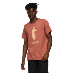Cotopaxi Llama T-Shirt Men