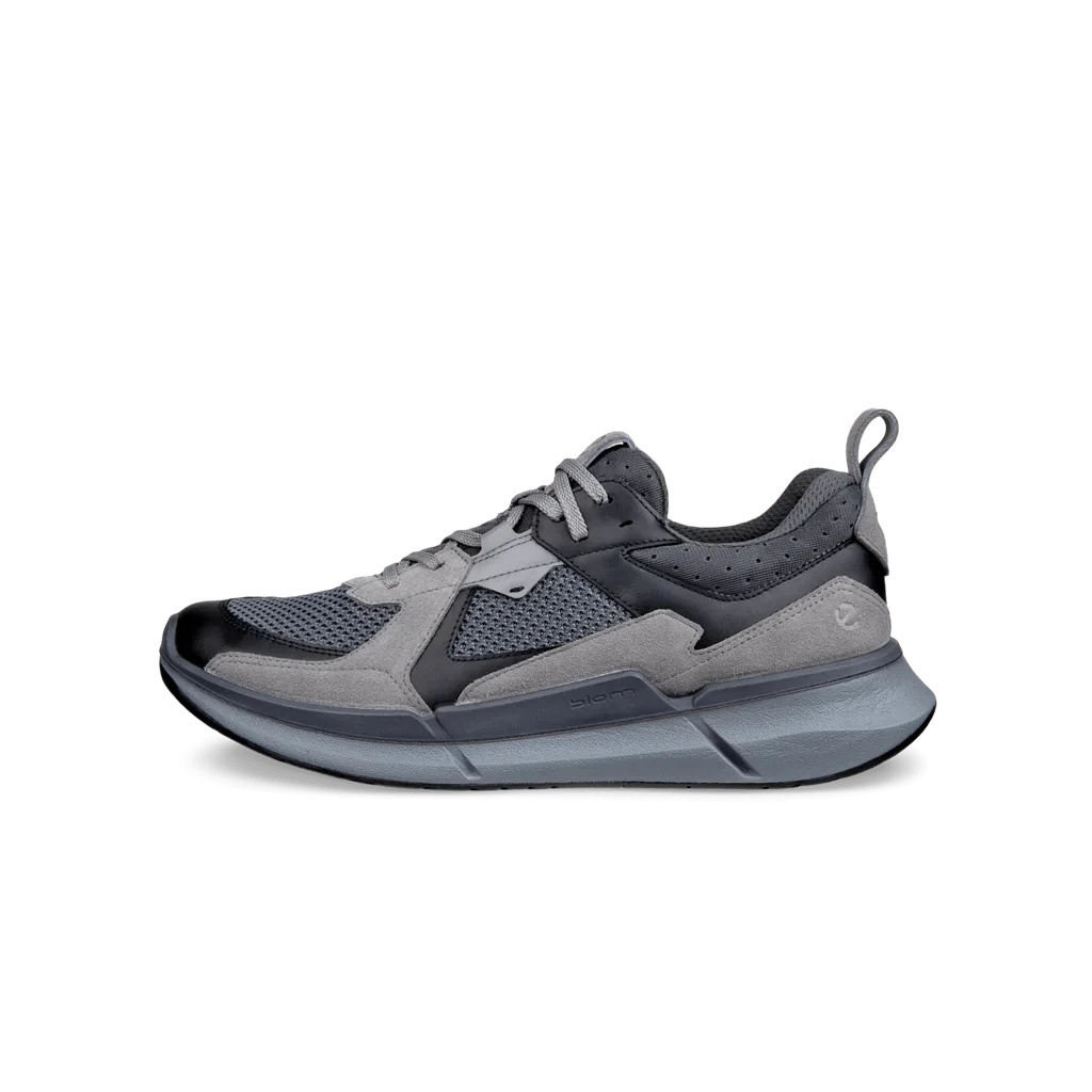 Ecco Biom 2.2 Leather Men