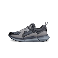Ecco Biom 2.2 Leather Men