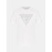 Guess Shiny Triangle T-Shirt MenAlive & Dirty 